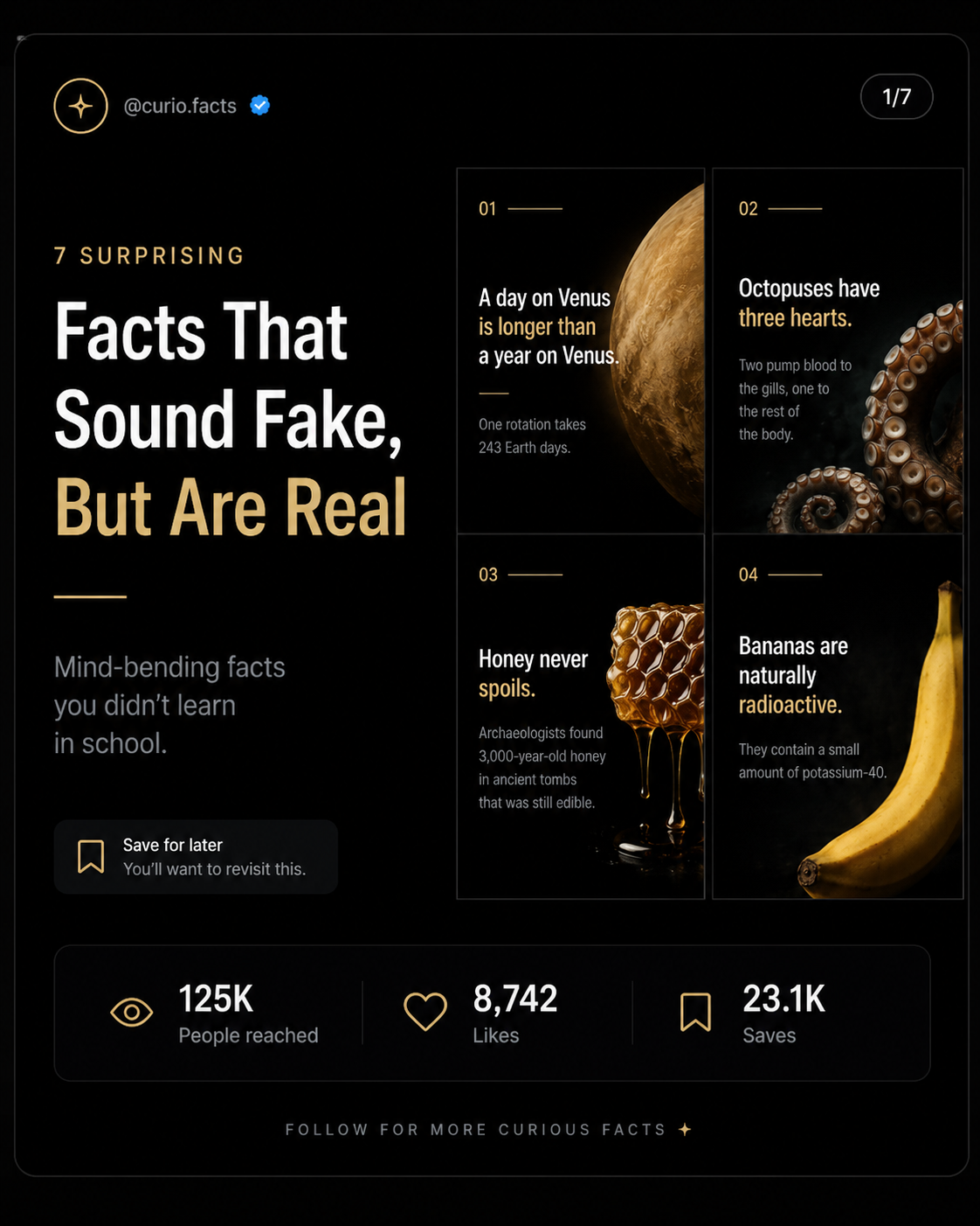 Fact carousel page style example
